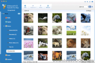 4Videosoft iOS Transfer for Mac screenshot